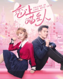 美丽城市拼拼看